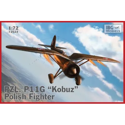 Model plastikowy PZL P.11g...