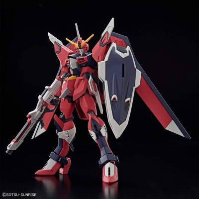 Model HG Gundam Seed Freedom Immortal