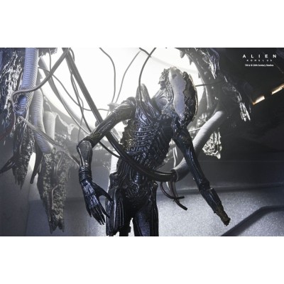 Figurka Alien Romulus Deluxe Suspended Lab Xenomorph XX121 18 cm